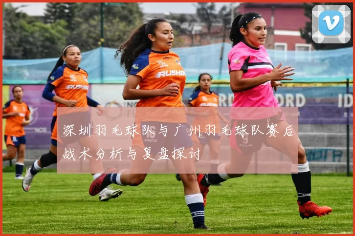 深圳羽毛球队与广州羽毛球队赛后战术分析与复盘探讨